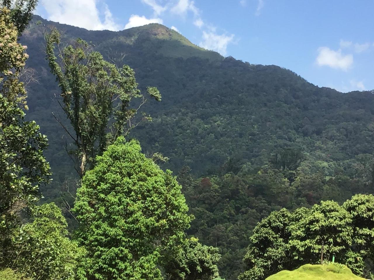 Wild Elephant Eco Friendly Resort Munnar Ngoại thất bức ảnh