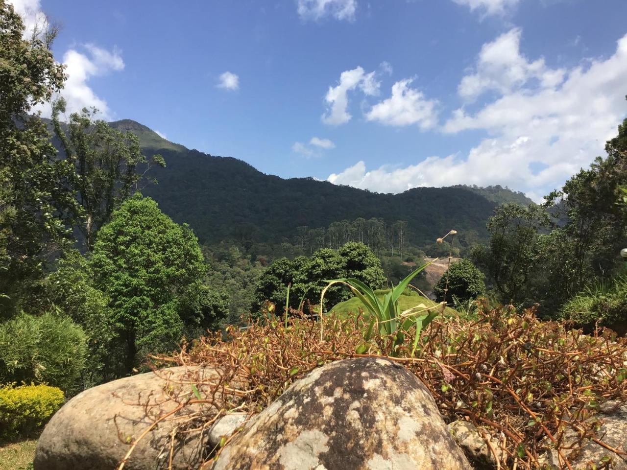 Wild Elephant Eco Friendly Resort Munnar Ngoại thất bức ảnh