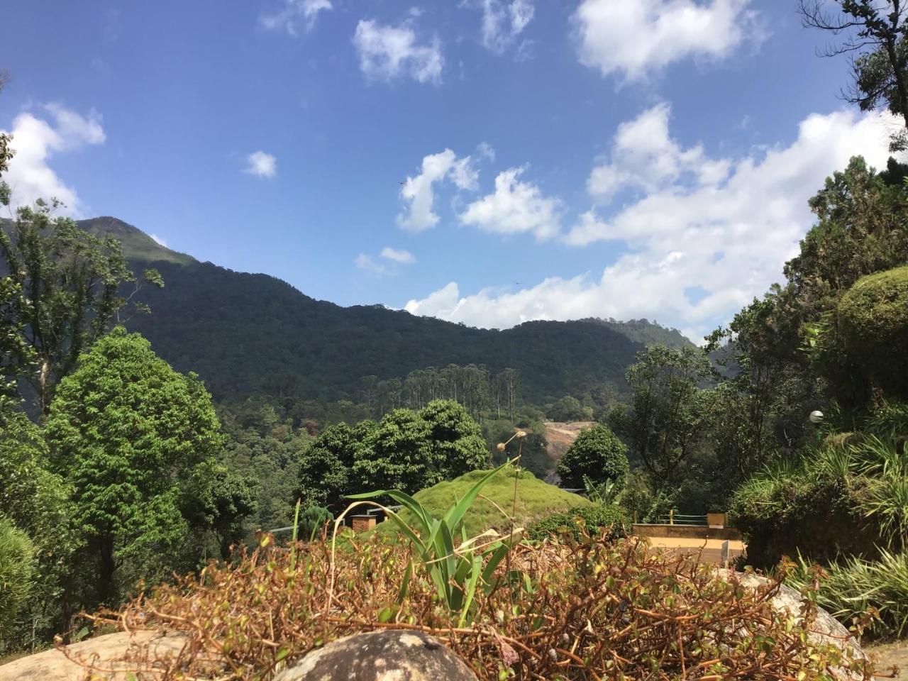 Wild Elephant Eco Friendly Resort Munnar Ngoại thất bức ảnh