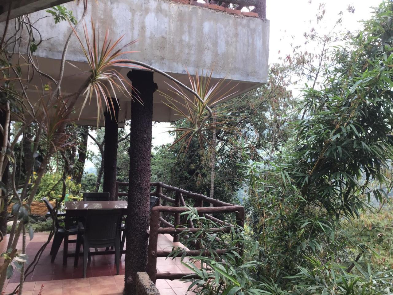 Wild Elephant Eco Friendly Resort Munnar Ngoại thất bức ảnh
