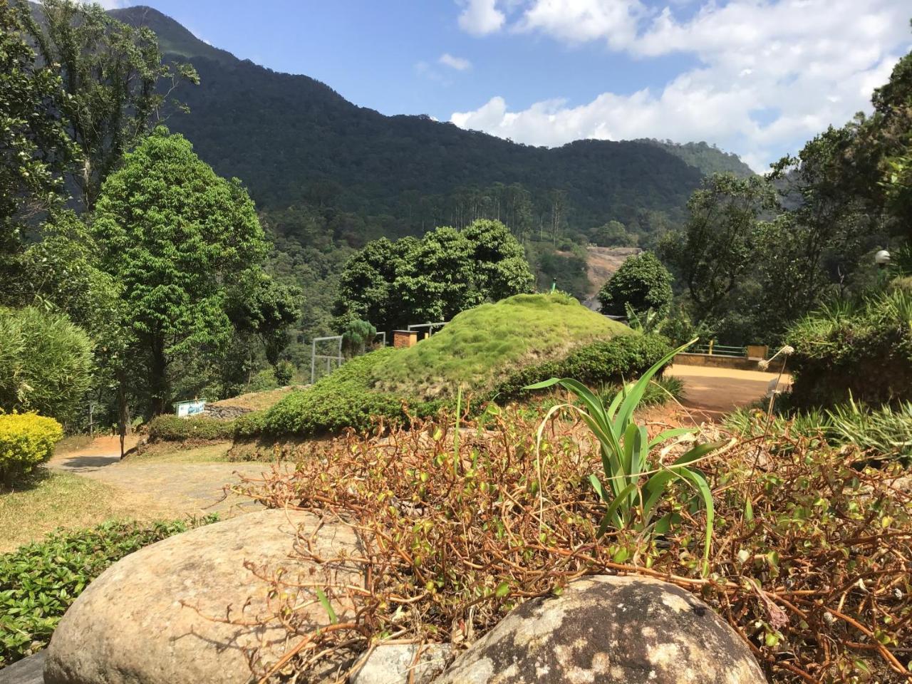 Wild Elephant Eco Friendly Resort Munnar Ngoại thất bức ảnh