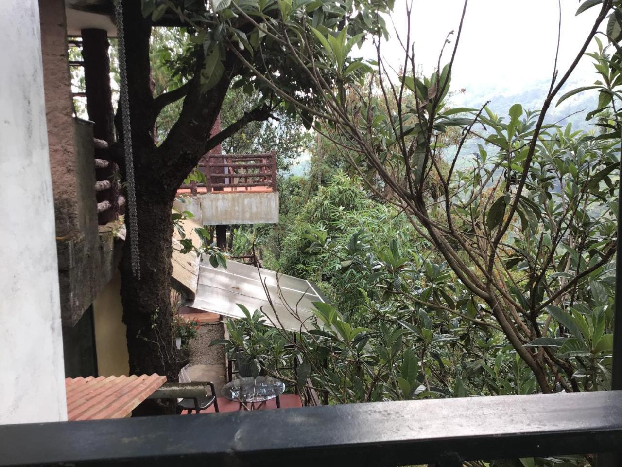 Wild Elephant Eco Friendly Resort Munnar Ngoại thất bức ảnh